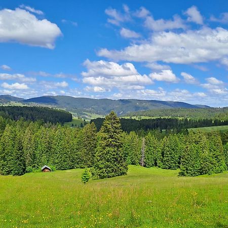 Daheim Im Geissetal Διαμέρισμα St. Blasien Εξωτερικό φωτογραφία