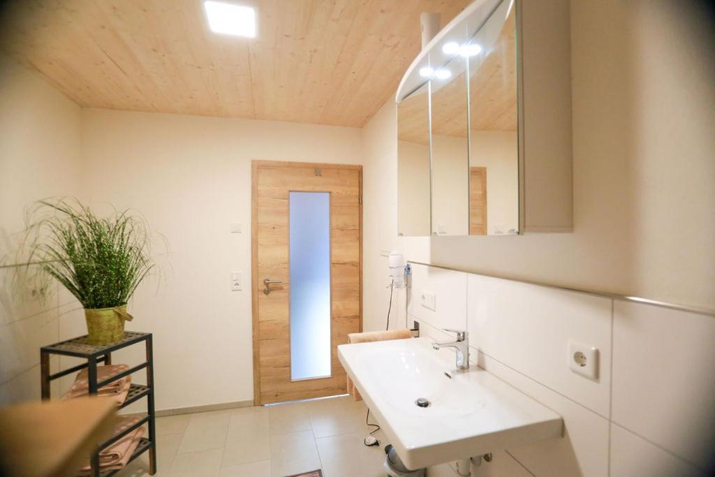 Daheim Im Geissetal Διαμέρισμα St. Blasien Εξωτερικό φωτογραφία