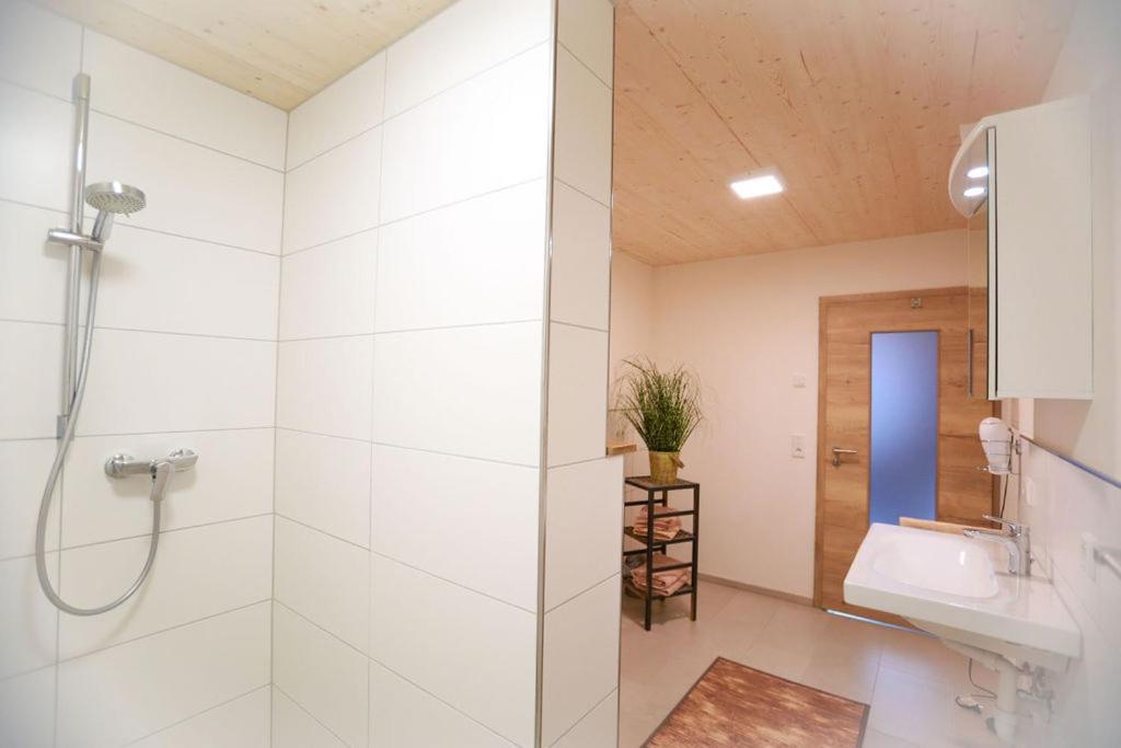 Daheim Im Geissetal Διαμέρισμα St. Blasien Εξωτερικό φωτογραφία