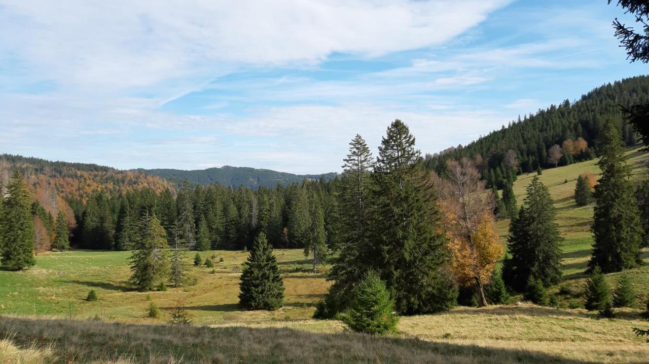 Daheim Im Geissetal Διαμέρισμα St. Blasien Εξωτερικό φωτογραφία